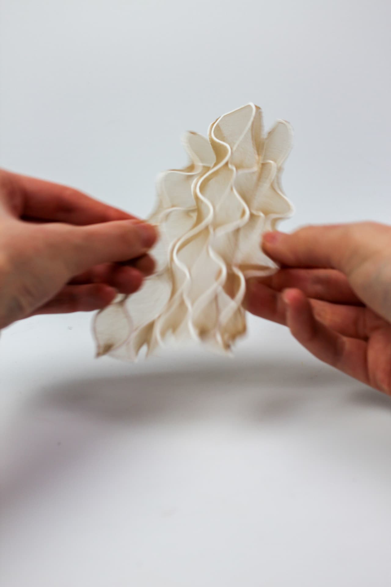 Hands holding a white printed textile sample folded into a corrugated wave.