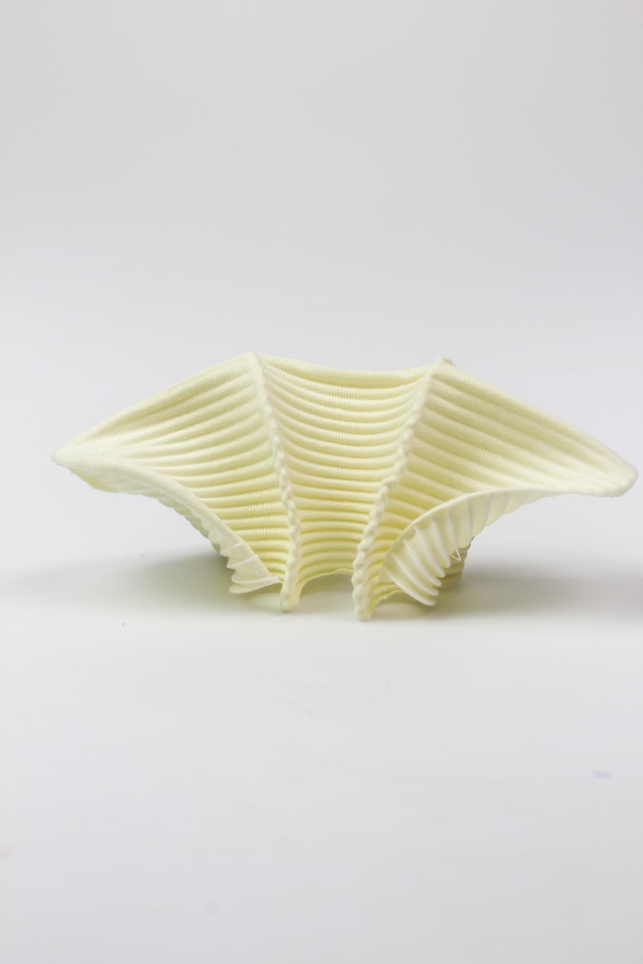Cream printed textile shell splayed open like a pleated fan.